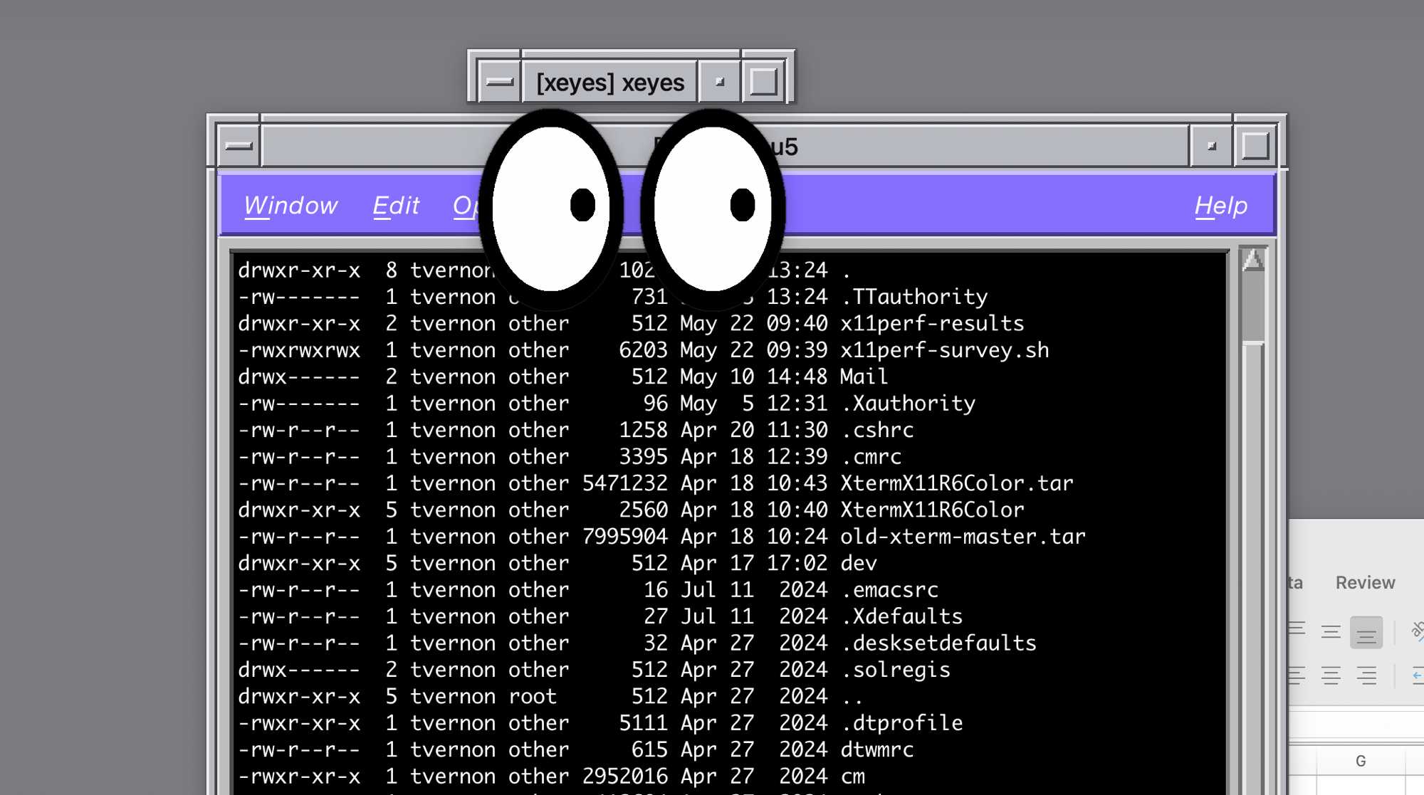 macXserver